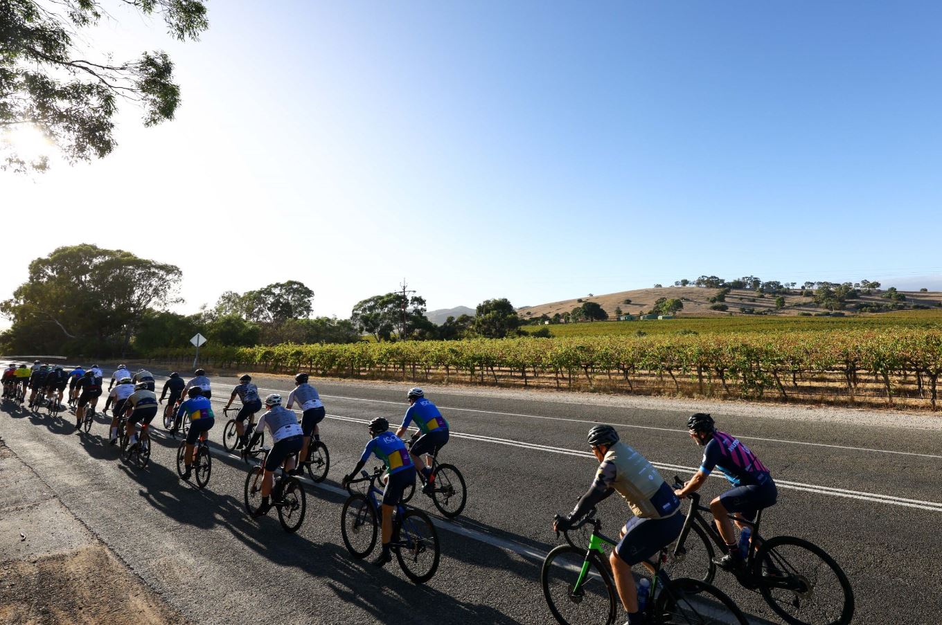 A Challenge Like No Other: Brisbane Cyclists Crack $1 million